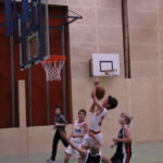 09_Wurf-Domenic