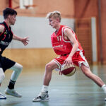 H_9Mistel_120622