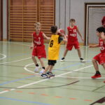 IMG_2253