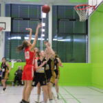 U19W-2Steyr-16122018
