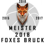 logo_meister2018